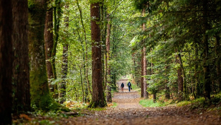 Marées explosives : 695 personnes isolées en 2025, l’alerte pour les promeneurs