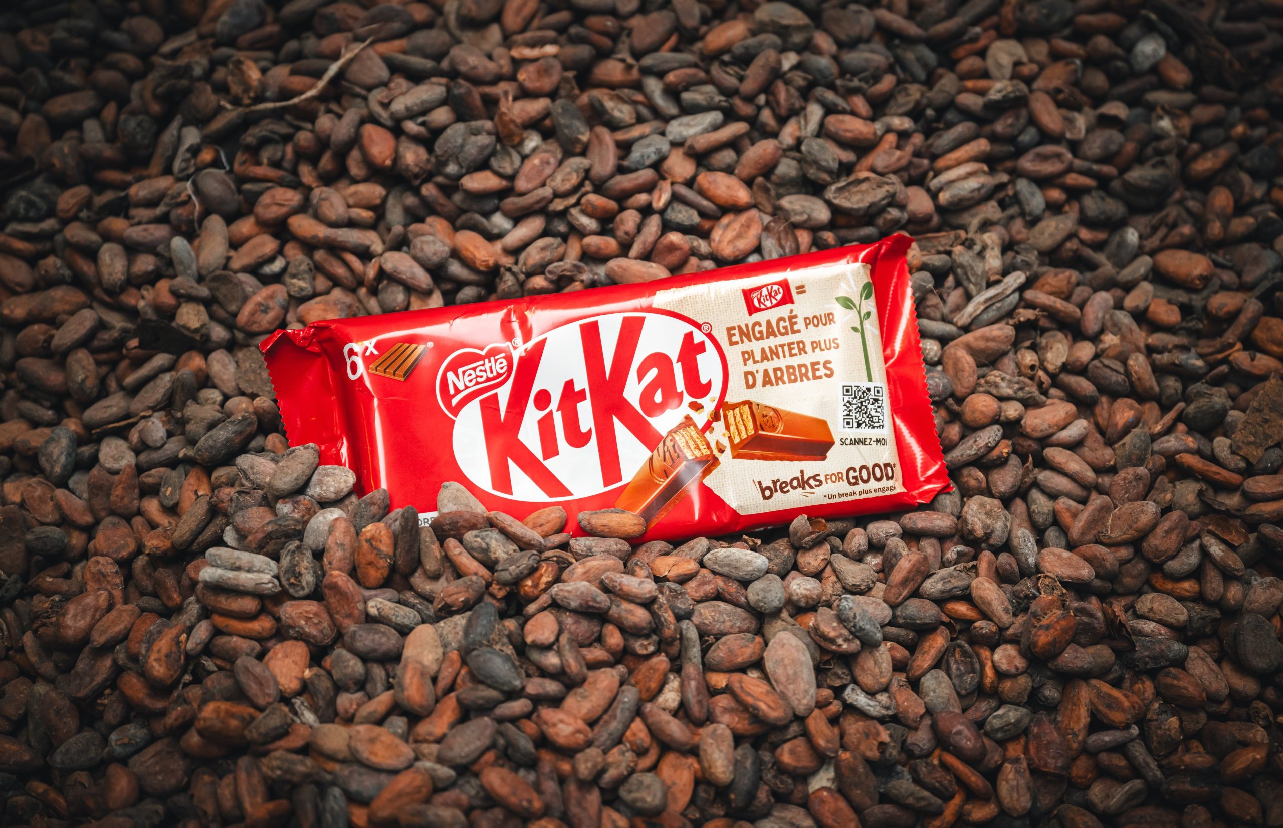 12 TONNES DE KITKAT VOLÉES EN EUROPE : NESTLÉ EN DÉSASTRE AVANT PÂQUES