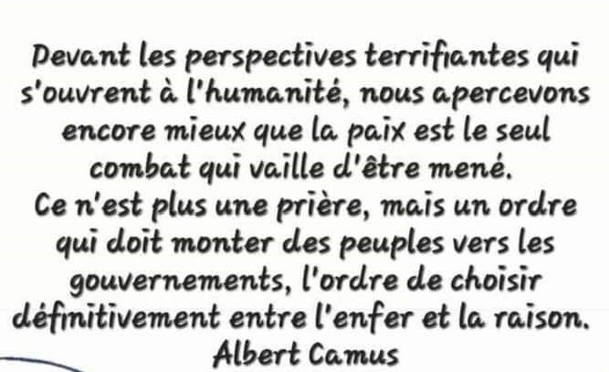 Un enfant de 11 ans face à l’horreur : le mystère du meurtre de « Chameau »
