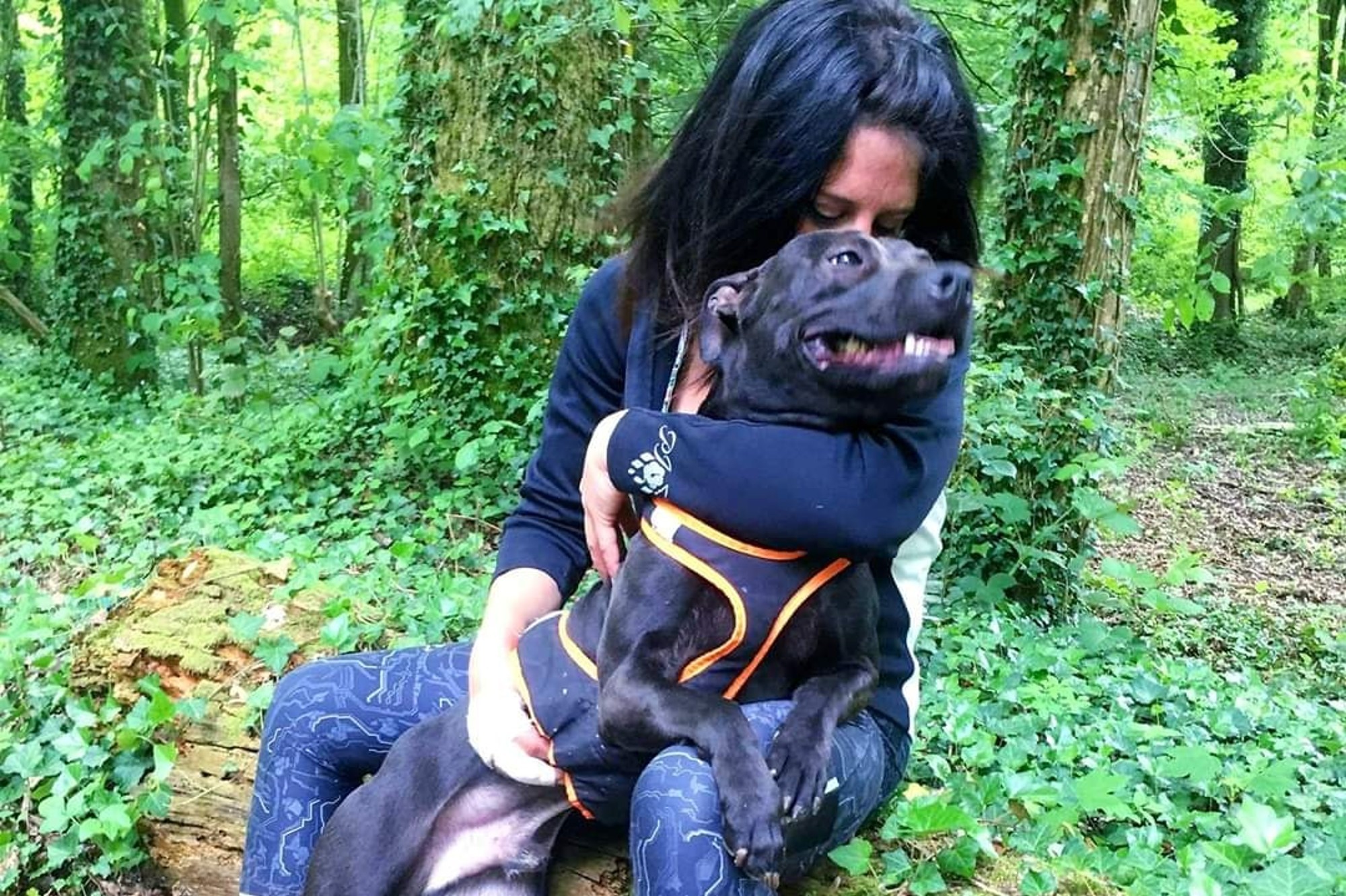 Le chien à l&rsquo;origine : le procès de Christophe Ellul après cinq ans d’incertitude