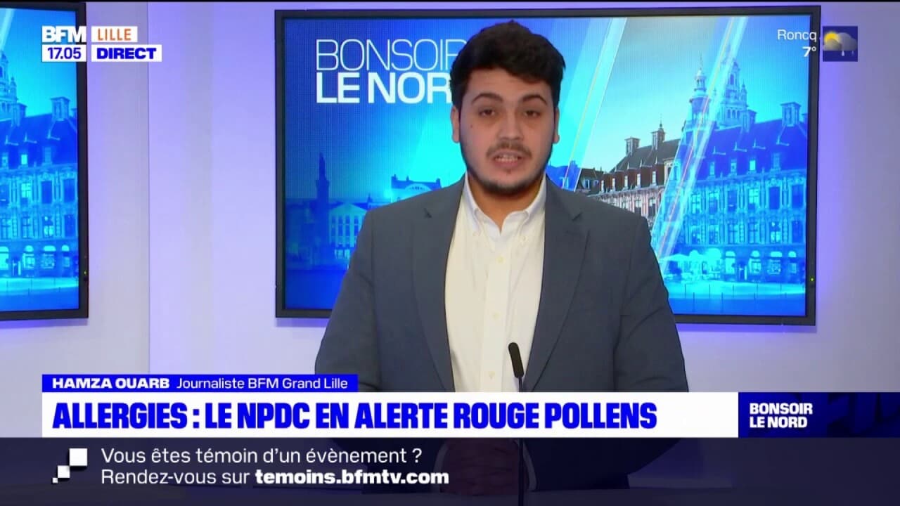 La vague printanière des pollens menace le Nord-Pas-de-Calais : alerte des experts