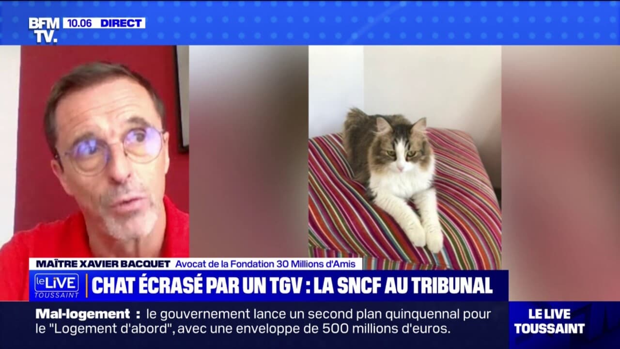 Dunkerque : Un père de famille écrasé par des agressions sans limites
