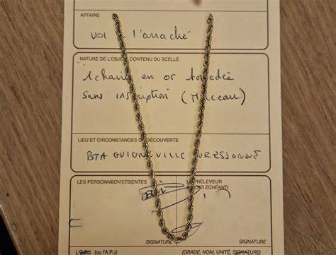 Collier arraché dans l’urgence : deux Algériens sans documents agressent une dame âgée à Villeurbanne