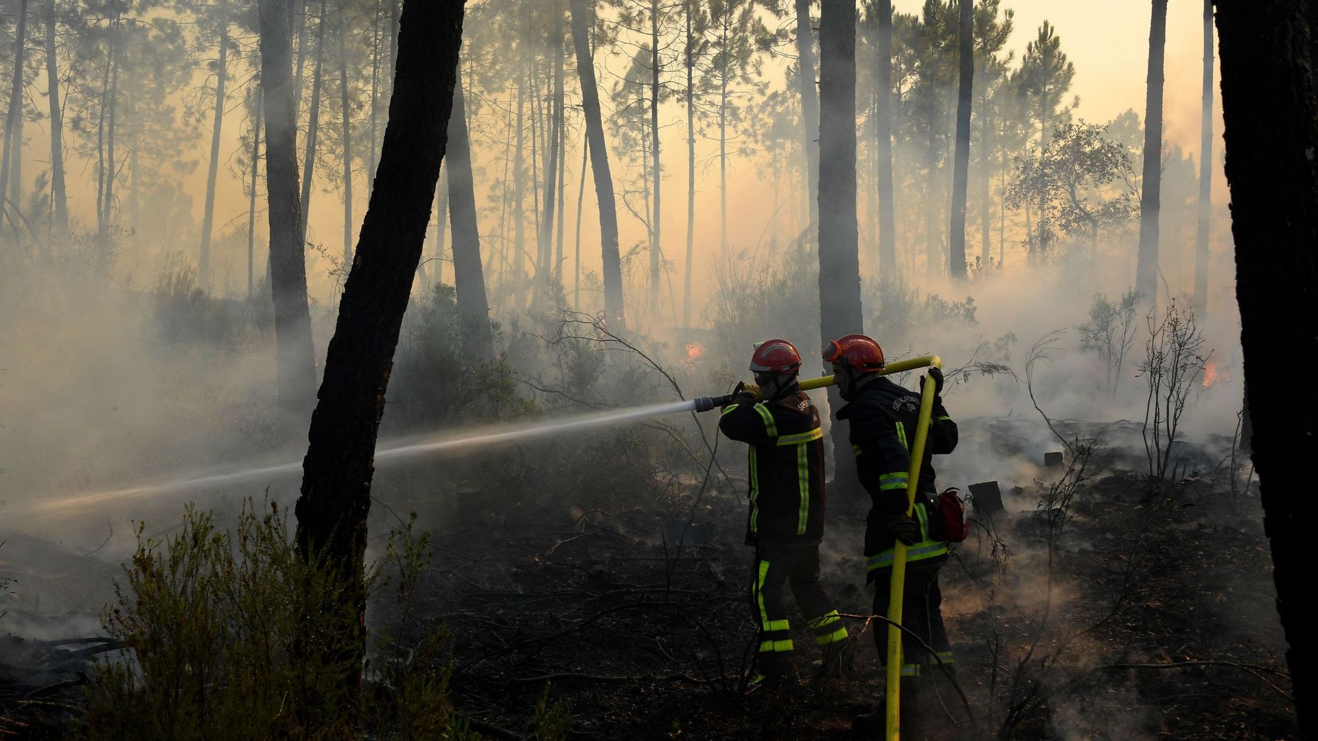 Les flammes du Sud : un incendie de 900 hectares se stabilise malgré des vents redoutables