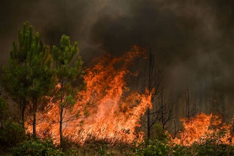Des faux sauvetages : l&rsquo;IA truque la réalité des incendies en Gironde