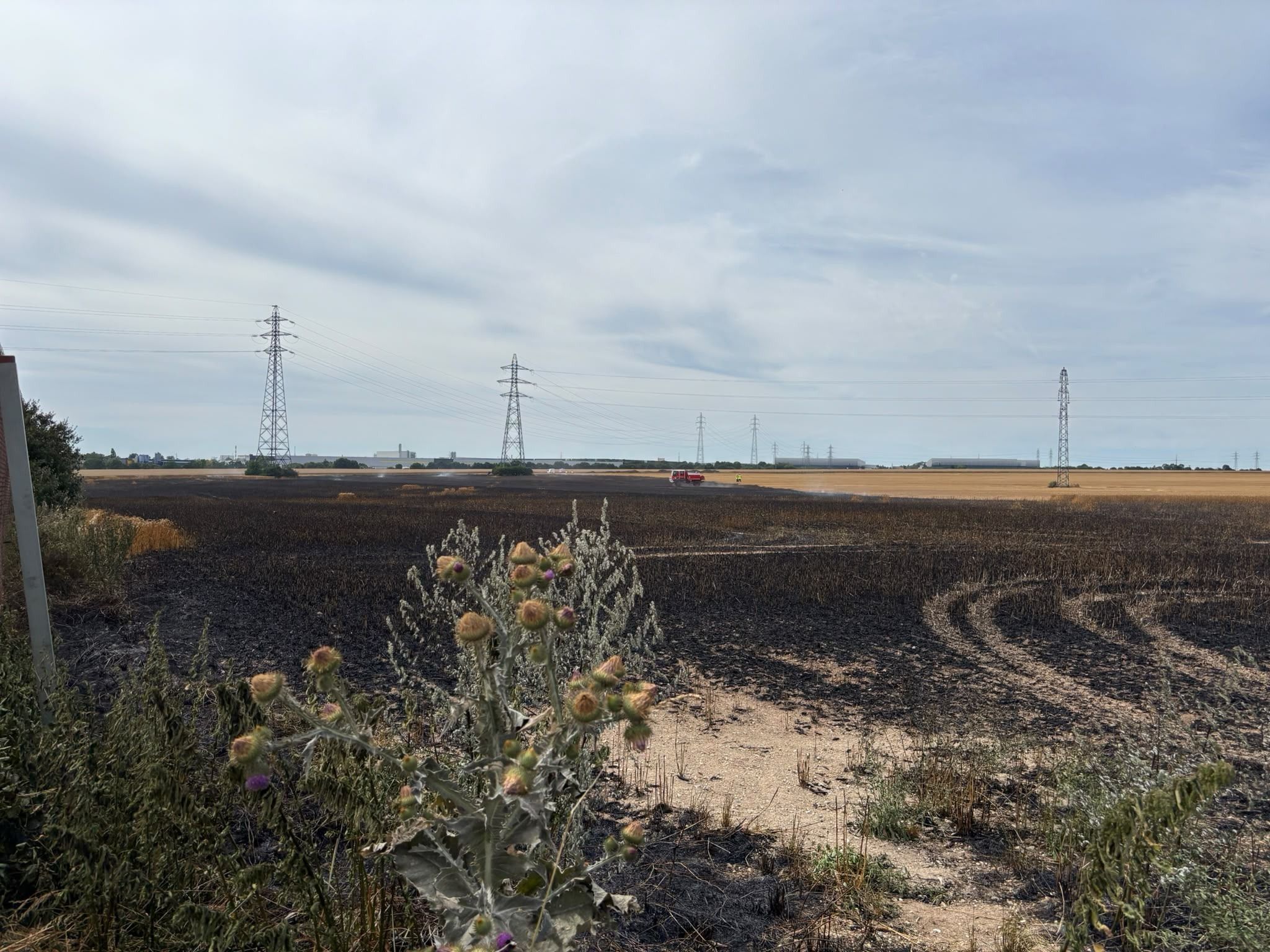 25 hectares de champs brûlés près d’Amiens : l&rsquo;incendie dans la Somme s&rsquo;inscrit dans une canicule extrême
