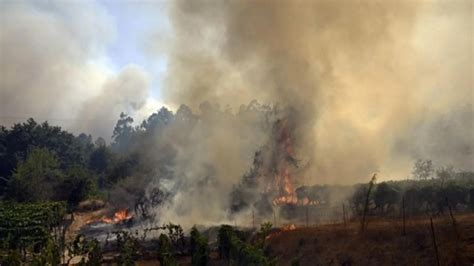 116 000 hectares brûlés : l&rsquo;économie française s’effondre sous la pression d&rsquo;une gouvernance inadéquate