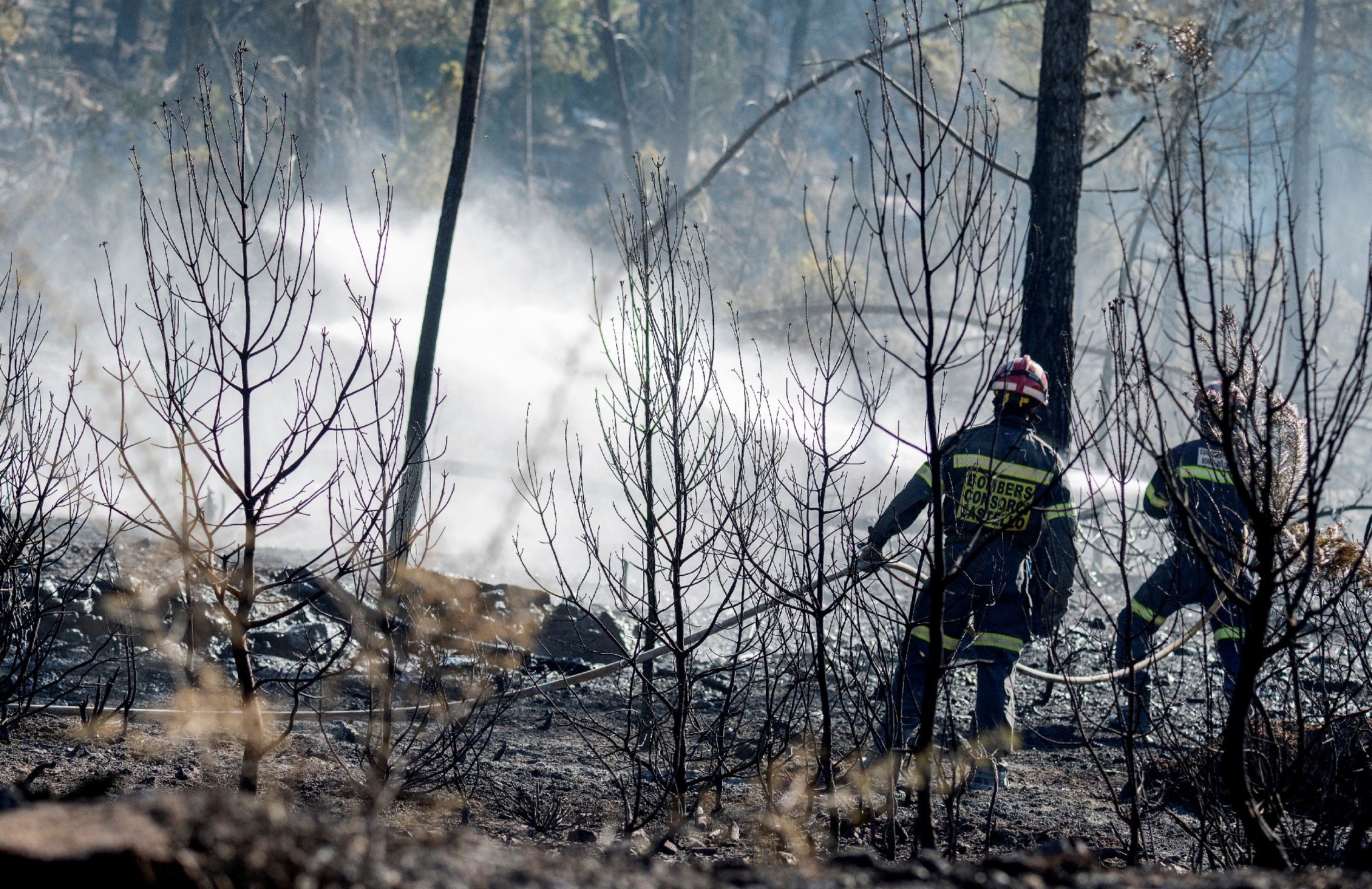 Solenzara brûle : l’individu criminel derrière les incendies de la nuit